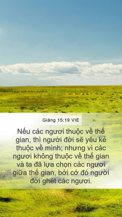 Giăng 15:19 VIE Bible Verse Image