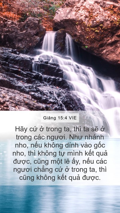 Giăng 15:4 VIE Bible Verse Image