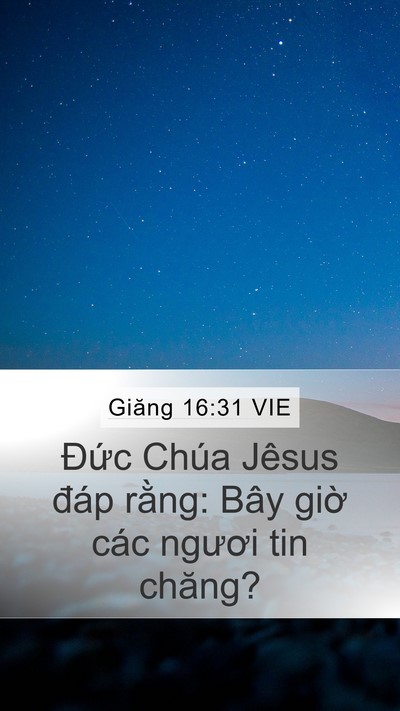 Giăng 16:31 VIE Mobile Phone Wallpaper - Đức Chúa Jêsus đáp rằng: Bây giờ các - Mobile Bible Verse Wallpaper