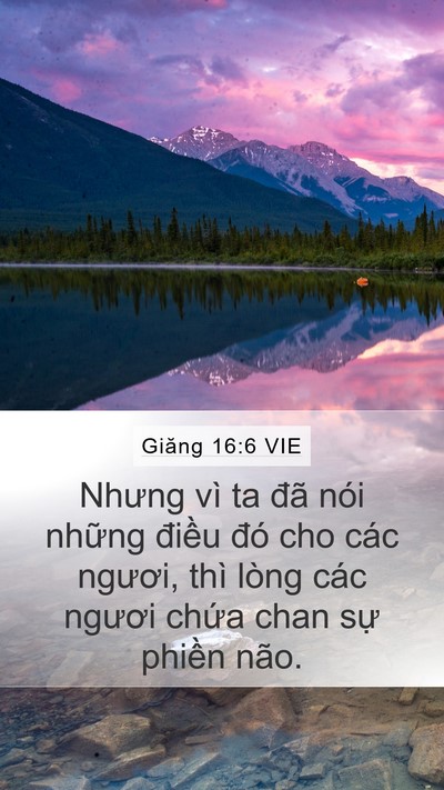 Giăng 16:6 VIE Bible Verse Image