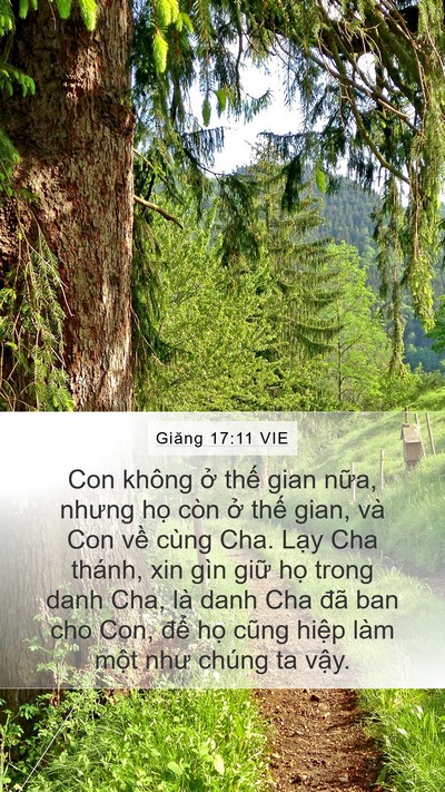 Giăng 17:11 VIE Bible Verse Image