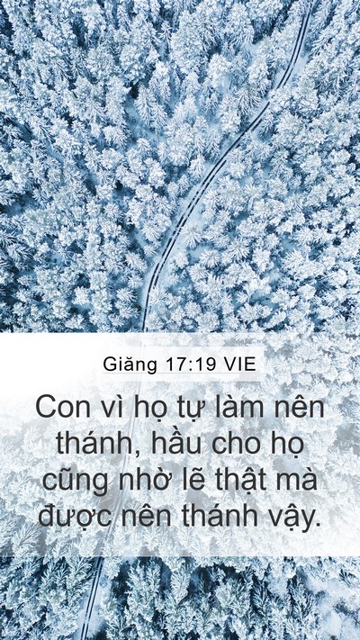 Giăng 17:19 VIE Bible Verse Image