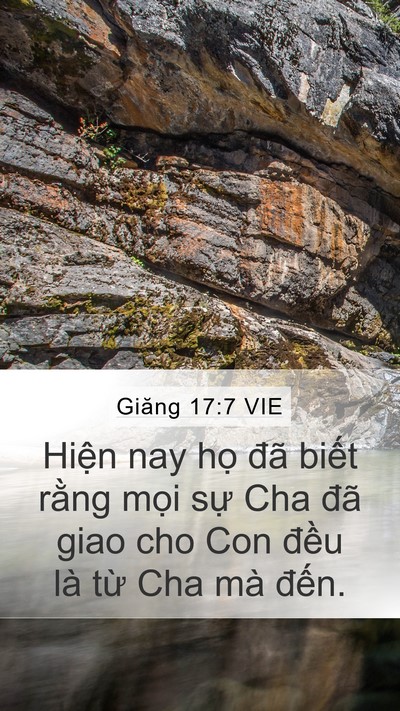 Giăng 17:7 VIE Mobile Phone Wallpaper - Hiện nay họ đã biết rằng mọi sự Cha - Mobile Bible Verse Wallpaper