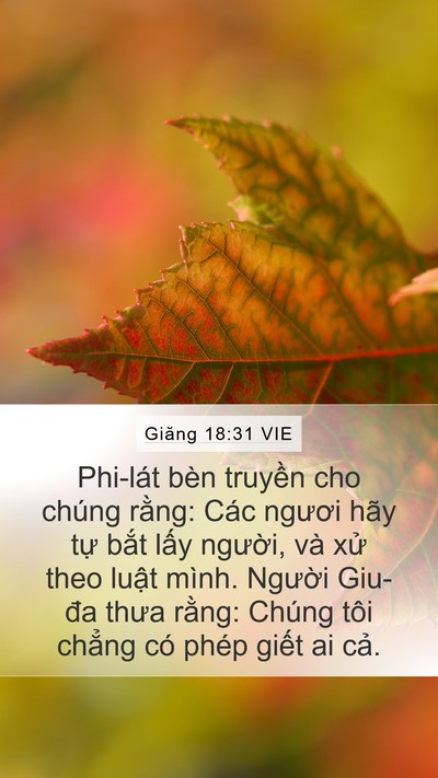 Giăng 18:31 VIE Bible Verse Image