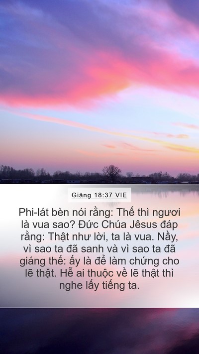 Giăng 18:37 VIE Bible Verse Image