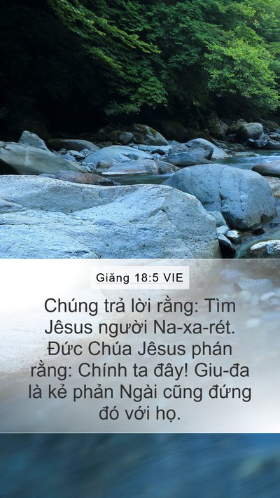 Giăng 18:5 VIE Bible Verse Image