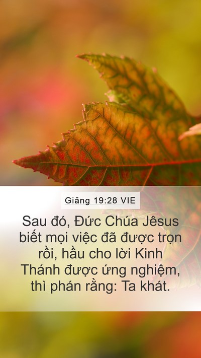 Giăng 19:28 VIE Bible Verse Image