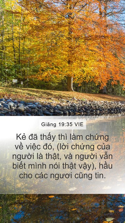 Giăng 19:35 VIE Bible Verse Image
