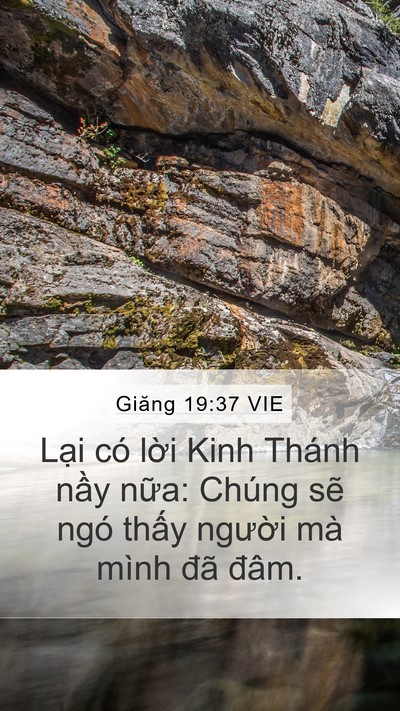Giăng 19:37 VIE Bible Verse Image