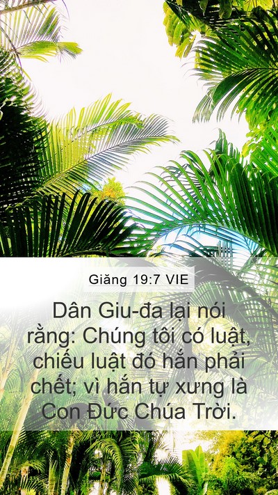 Giăng 19:7 VIE Bible Verse Image