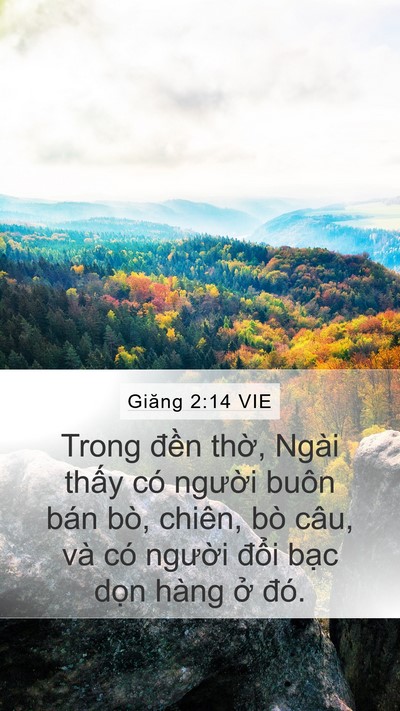 Giăng 2:14 VIE Bible Verse Image
