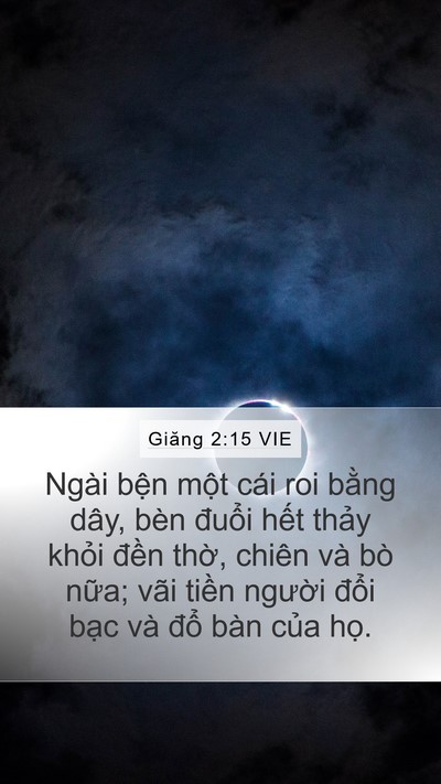 Giăng 2:15 VIE Mobile Phone Wallpaper - Ngài bện một cái roi bằng dây, bèn - Mobile Bible Verse Wallpaper