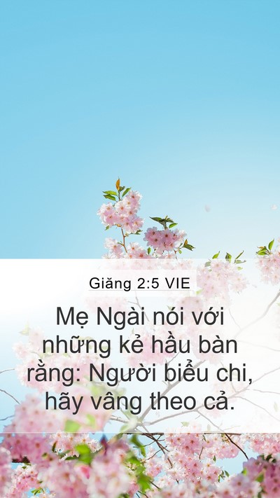 Giăng 2:5 VIE Bible Verse Image