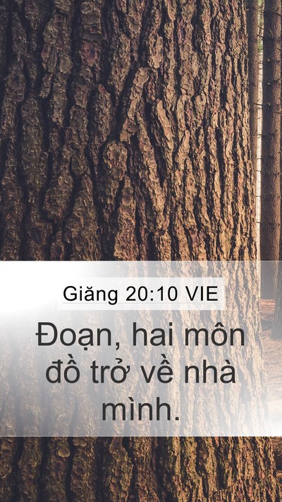 Giăng 20:10 VIE Mobile Phone Wallpaper - Đoạn, hai môn đồ trở về nhà - Mobile Bible Verse Wallpaper