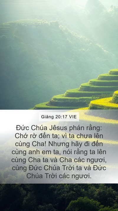 Giăng 20:17 VIE Bible Verse Image