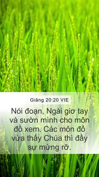 Giăng 20:20 VIE Bible Verse Image