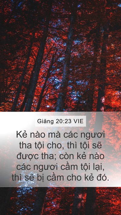 Giăng 20:23 VIE Bible Verse Image