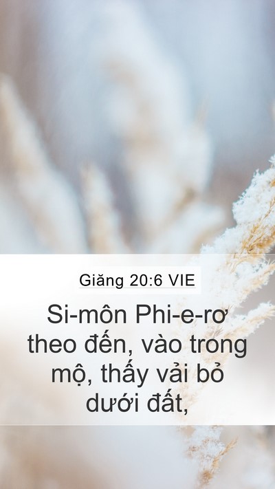 Giăng 20:6 VIE Mobile Phone Wallpaper - Si-môn Phi-e-rơ theo đến, vào trong mộ, - Mobile Bible Verse Wallpaper