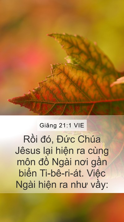 Giăng 21:1 VIE Bible Verse Image