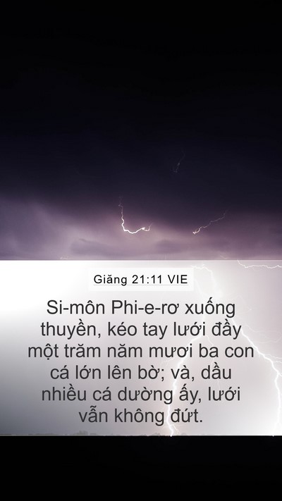 Giăng 21:11 VIE Mobile Phone Wallpaper - Si-môn Phi-e-rơ xuống thuyền, kéo tay - Mobile Bible Verse Wallpaper