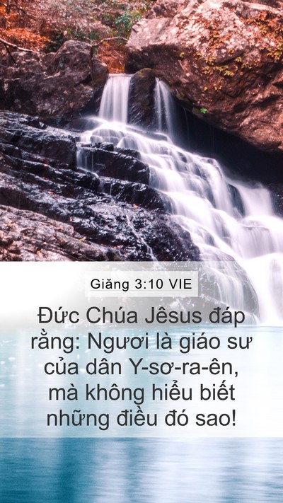 Giăng 3:10 VIE Mobile Phone Wallpaper - Đức Chúa Jêsus đáp rằng: Ngươi là - Mobile Bible Verse Wallpaper