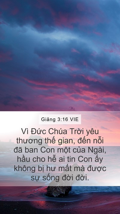 Giăng 3:16 VIE Bible Verse Image