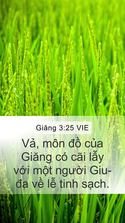 Giăng 3:25 VIE Bible Verse Image