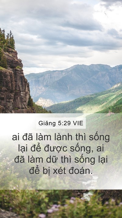 Giăng 5:29 VIE Bible Verse Image