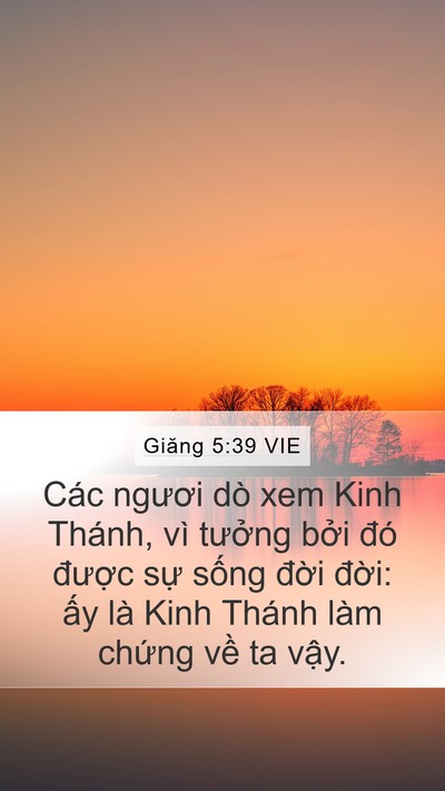 Giăng 5:39 VIE Bible Verse Image