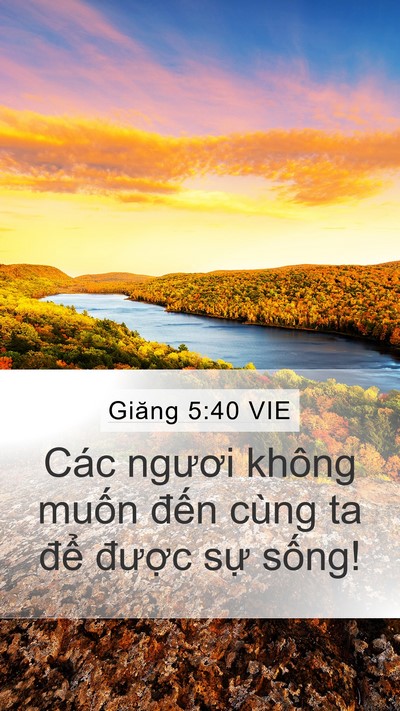 Giăng 5:40 VIE Bible Verse Image