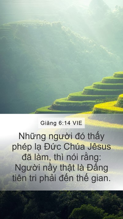 Giăng 6:14 VIE Bible Verse Image