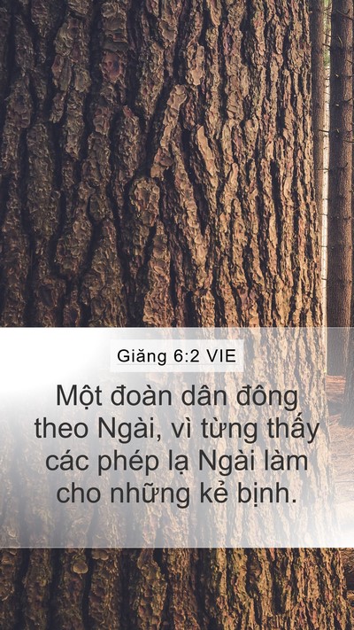 Giăng 6:2 VIE Bible Verse Image
