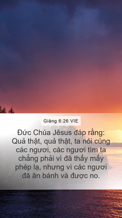 Giăng 6:26 VIE Bible Verse Image