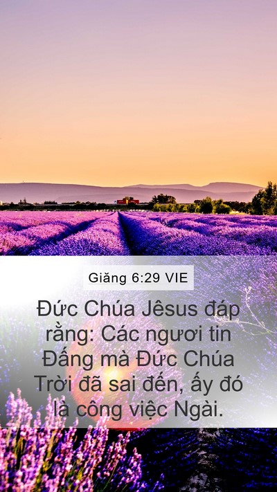 Giăng 6:29 VIE Bible Verse Image
