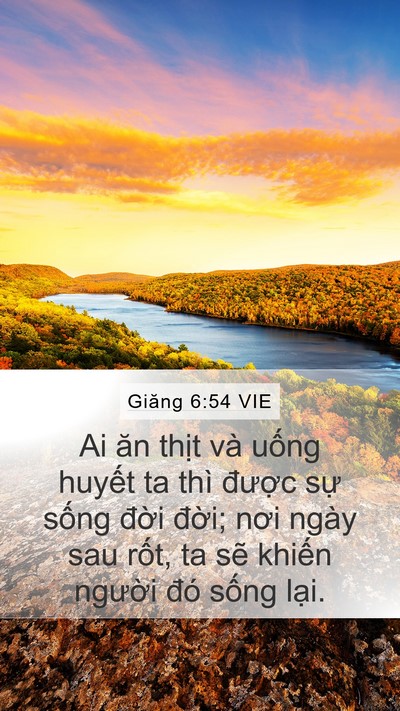 Giăng 6:54 VIE Mobile Phone Wallpaper - Ai ăn thịt và uống huyết ta thì được - Mobile Bible Verse Wallpaper