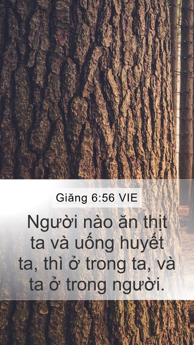 Giăng 6:56 VIE Bible Verse Image