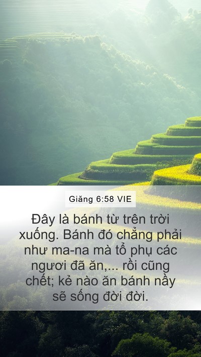 Giăng 6:58 VIE Bible Verse Image