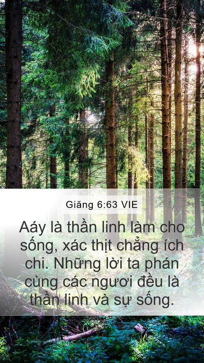 Giăng 6:63 VIE Bible Verse Image
