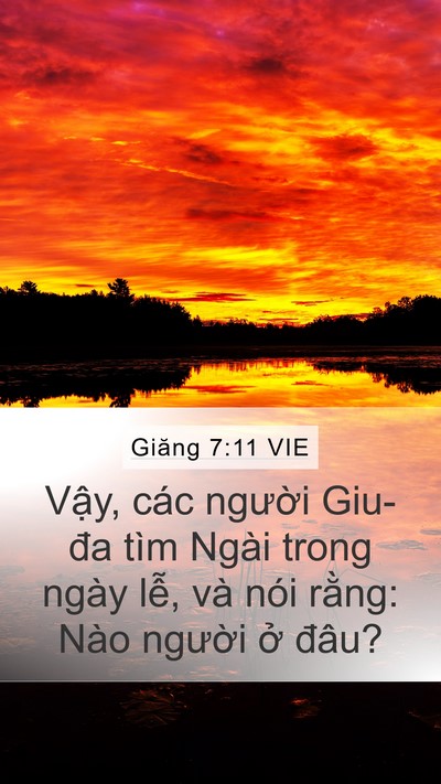 Giăng 7:11 VIE Mobile Phone Wallpaper - Vậy, các người Giu-đa tìm Ngài trong - Mobile Bible Verse Wallpaper