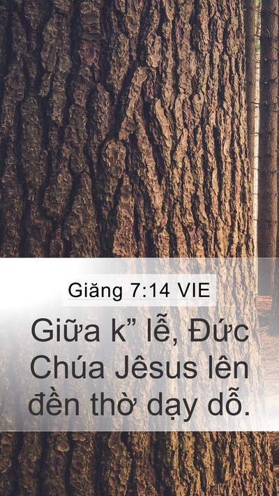 Giăng 7:14 VIE Bible Verse Image