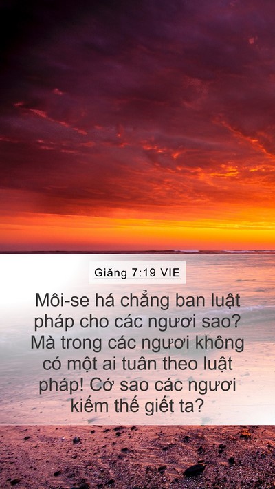 Giăng 7:19 VIE Bible Verse Image