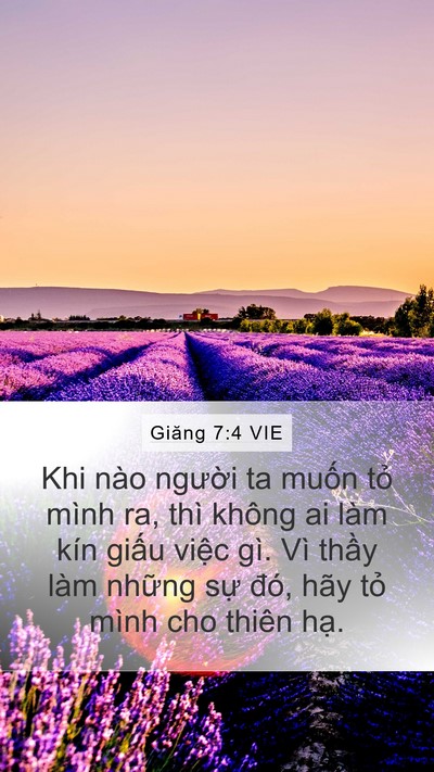 Giăng 7:4 VIE Mobile Phone Wallpaper - Khi nào người ta muốn tỏ mình ra, thì - Mobile Bible Verse Wallpaper