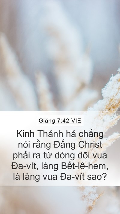 Giăng 7:42 VIE Bible Verse Image