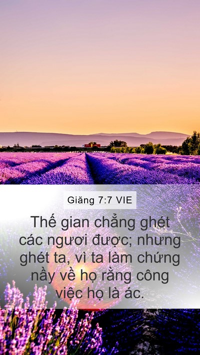Giăng 7:7 VIE Bible Verse Image