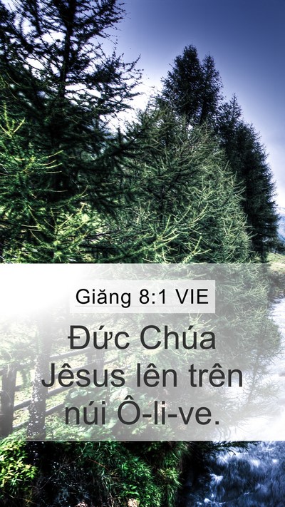 Giăng 8:1 VIE Bible Verse Image
