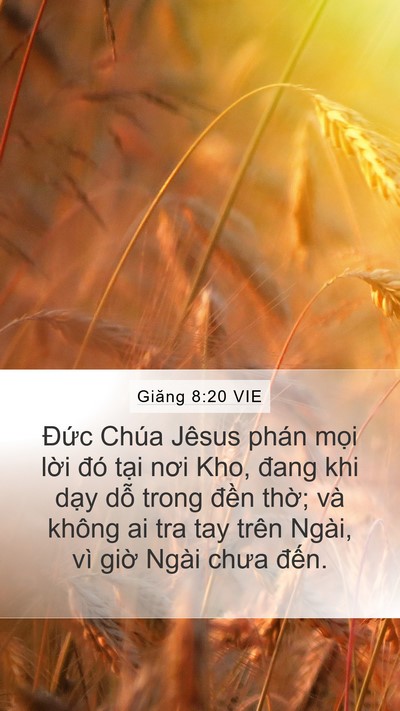Giăng 8:20 VIE Bible Verse Image