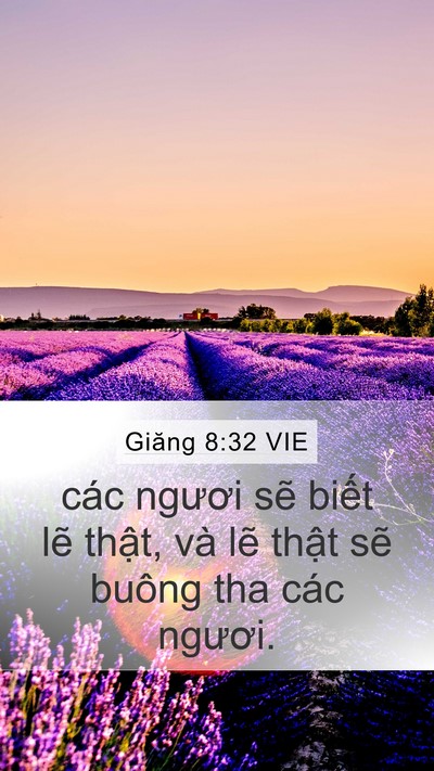 Giăng 8:32 VIE Bible Verse Image