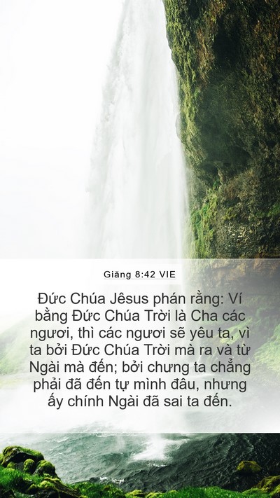 Giăng 8:42 VIE Bible Verse Image