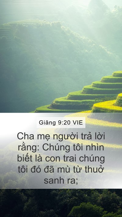 Giăng 9:20 VIE Bible Verse Image