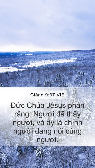 Giăng 9:37 VIE Mobile Phone Wallpaper - Đức Chúa Jêsus phán rằng: Ngươi đã - Mobile Bible Verse Wallpaper